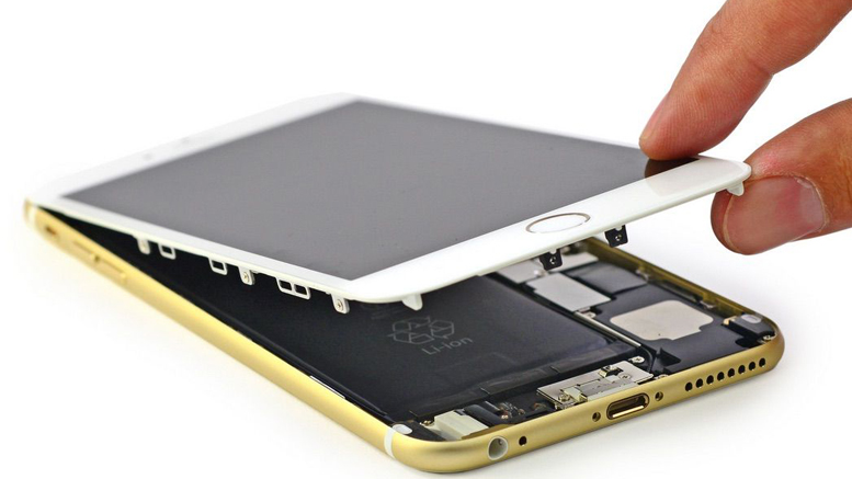 Laboratorio celular y computacional